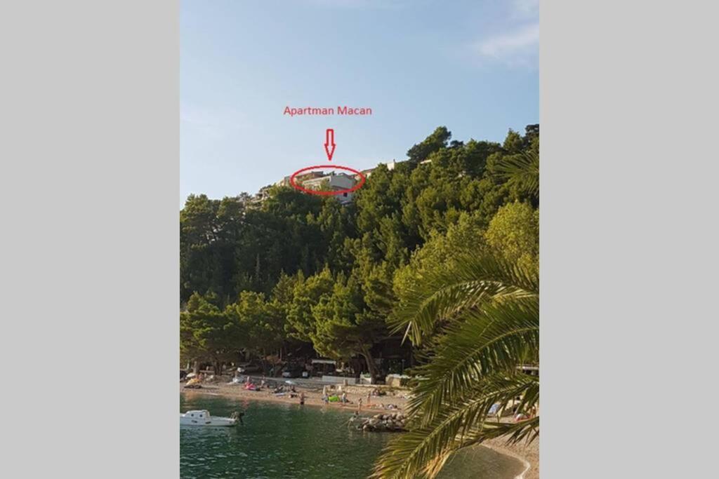 Apartman Macan Brela Dış mekan fotoğraf